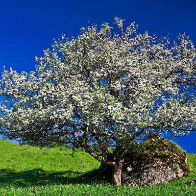 综合体育app官方入口下载